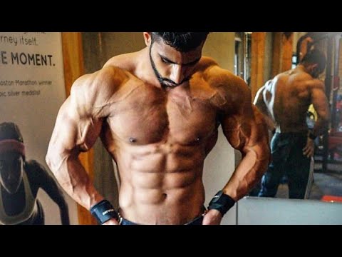 shoulder workout gym shoulder workout gym