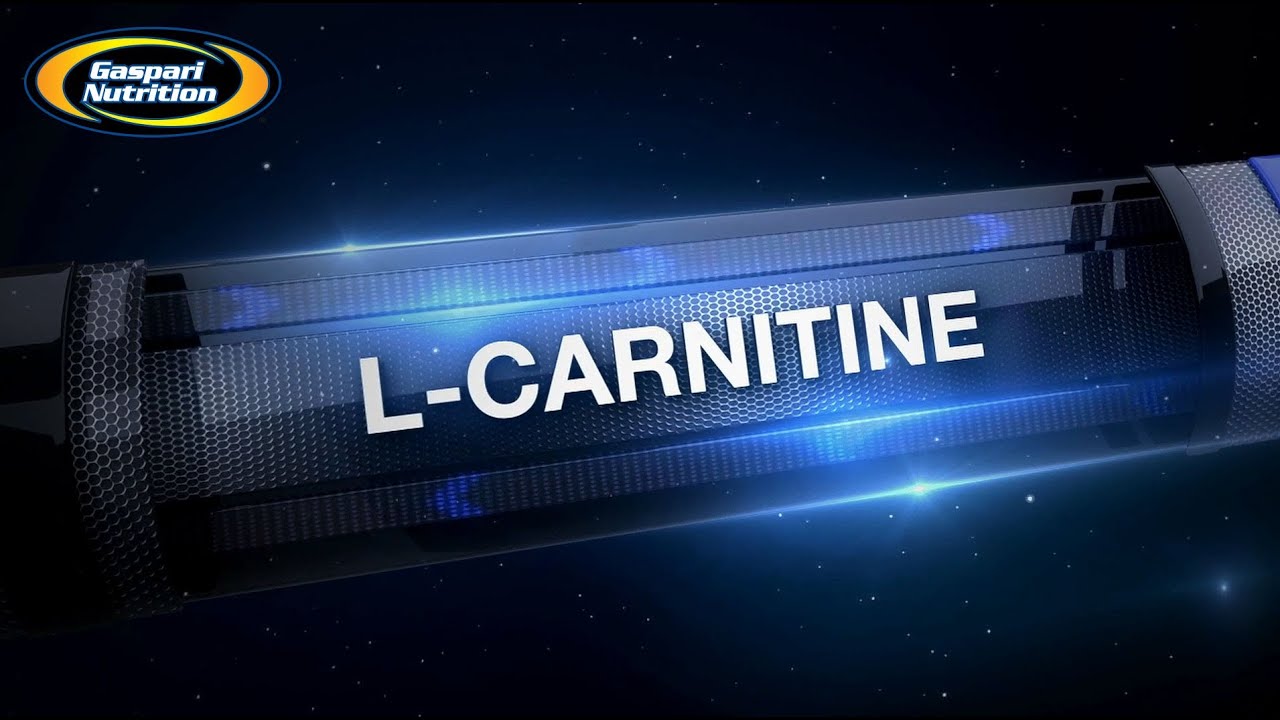 gaspari l-carnitine Liquid 3000mg (30 Servings) Online Proteins (MEDGLOBE THERAPEUTICS LIMITED) Clinical Muscle presents Carnipure Carnitine
