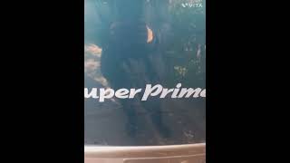 KGM 이스타나 1998년식