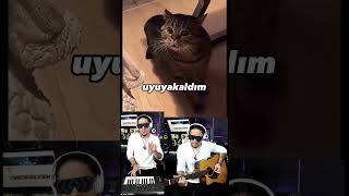 Video thumbnail of "Uyuyakaldım Remix :) Kedi Müzik - Cat Music #kedi #müzik #cat #music #shorts"