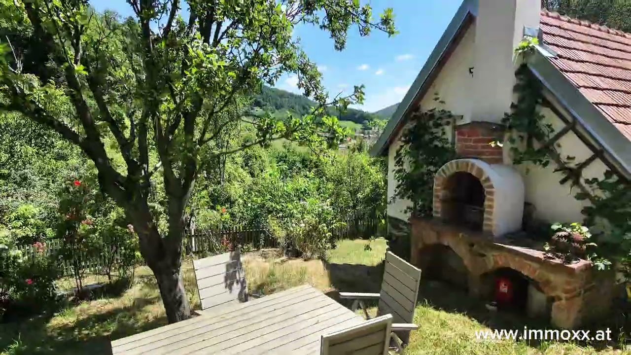 Video-Vorschau