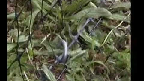 Deerbusters.com deer fence stakes