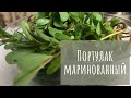 Маринованный портулак | Рецепт (избавляемся от сорняка вкусно)