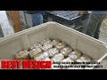 Best Mushroom Substrate Sterilizer Based On Cost, Profitability, And Farm Efficiency: DIY Steam Tank