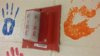 Famous Wheelock EHS-EL1 Fire Alarm Profile