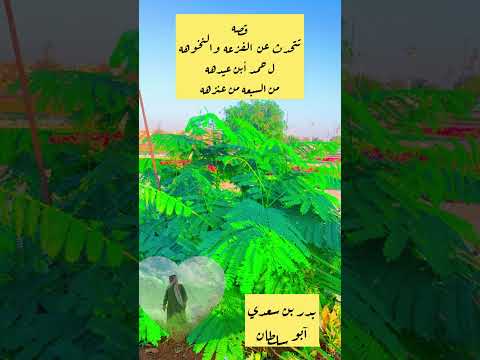 قصه حمد أبن عيده من السبعه من عنزه الراوي فواز الغسلان 