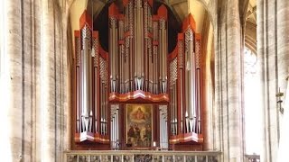 Großer Gott, wir loben Dich (Rieger-Orgel Münster St.Georg, Dinkelsbühl)