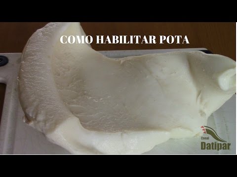COMO HABILITAR POTA