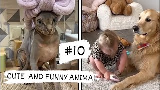 CUTE AND FUNNY ANIMAL VIDEOS #10. THE BEST!🐼🐱🐭🐻🐹🙊🐸🐙🐍🦀