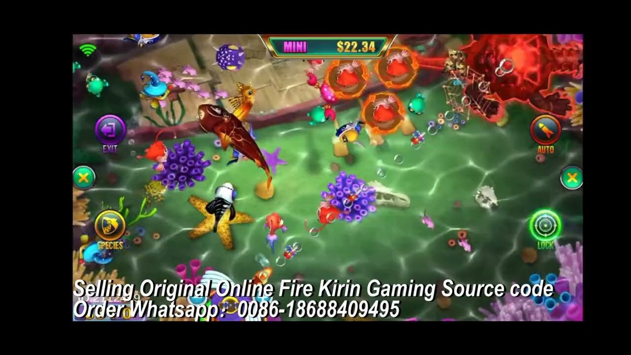 Provide USA Hot Online Original Fire Kirin Gaming Source Code DEEPSEA VOLCAMON online fishing game