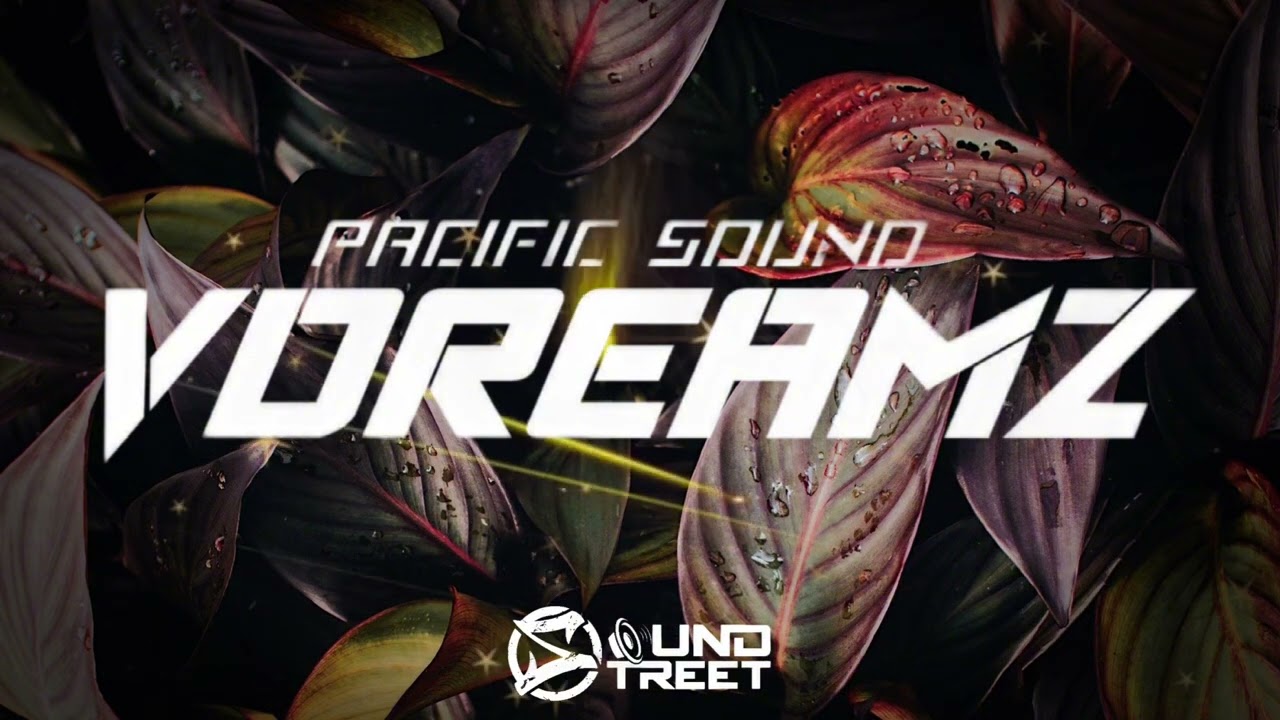 SWTY x KISI JAY - LO LA LA [4NEIJY.K] REMIX 2026 