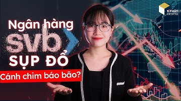 Những điểm yếu chí mạng của hệ thống Ngân hàng - Chuẩn bị gì cho khủng hoảng?