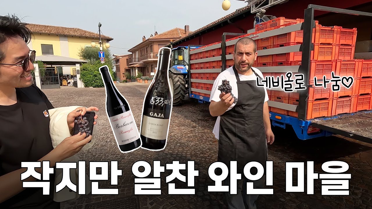 🇮🇹바르바레스코 와인 여행: 마을 탐방 + 와인 테이스팅 + 저녁 식사 맛집 