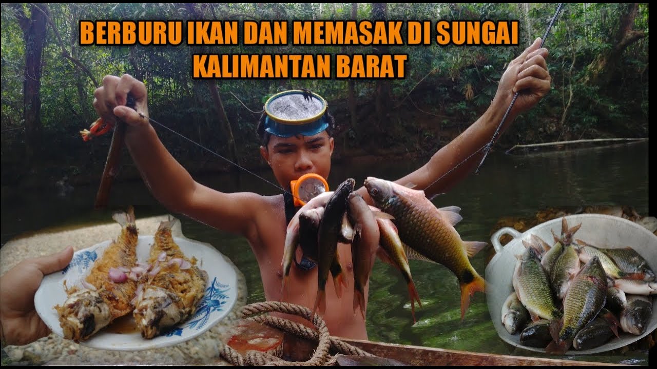 MENANGKAP & MEMASAK IKAN DI SUNGAI KALIMANTAN - CATCH & COOK