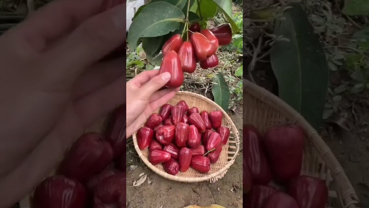 This Smart Gadget Fixes an Annoying Daily Problem 😮🔥 