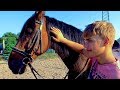 Первый урок верховой езды / The first riding lesson