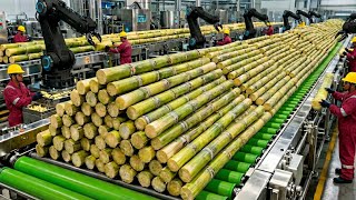 Modern Cane Sugar Factory:The Amazing Journey from Fresh Sugarcane to Pure Crystal Sugar USA Factory