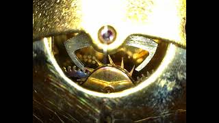 Schatz 54 1000 Day clock escape movement in action