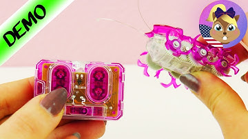 HEX BUG FIRE ANT | Control Your Hex Bug for Games and Pranks | Demo