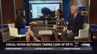 Social Media Saturday:  Apps for dog owners screenshot 4