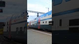 Shorts Express Shorts Video Shorts Musicshorts Train Feed