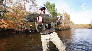 Salmon river USA