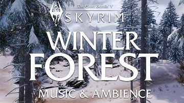 Winter Forest | The Elder Scrolls 5: Skyrim Relaxing Music & Ambience