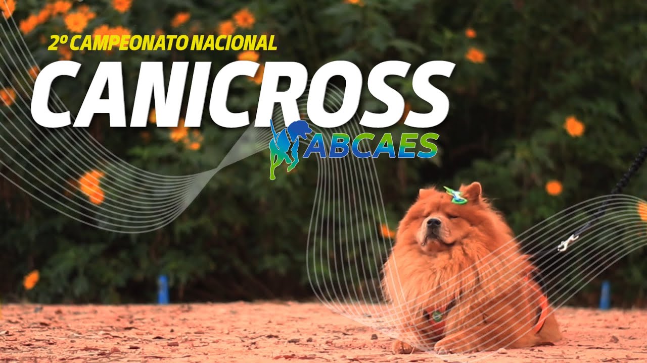 2º Campeonato de Canicross ABCAES