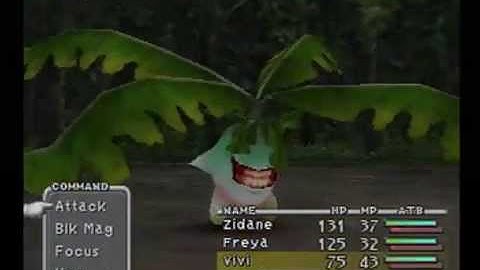 Final Fantasy IX Segmented Speedrun - 11