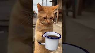 ว้าวใบไม้กลายเป็นแดงได้ #คลิปตลกขำๆ #funny #ทัศนีย์พาเพลิน