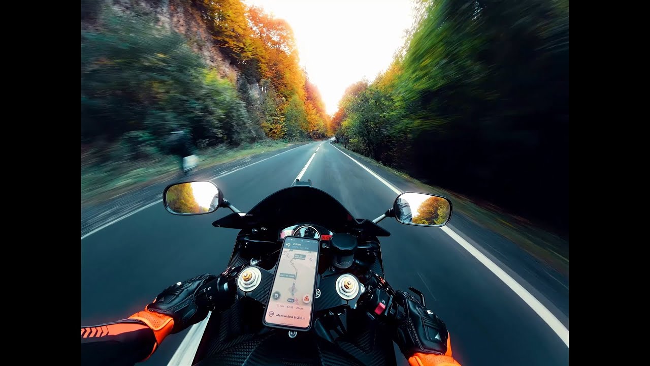 Chill Ride just a chill ride in the forest - YouTube