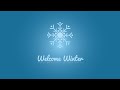 Inverno vettoriale (entertainment)