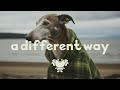 Conor Maynard - A Different Way (lyrics)