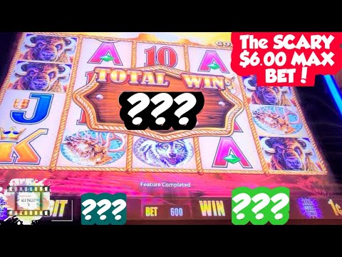 Role Go Monopoly casino game 馃 Play By Akash and G 馃挋 winner 馃弳 elante mall chandigarh #shortsfeed