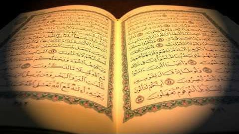 سورة الكافرون بصوت القارىء الشيخ مشاري بن راشد العفاسي