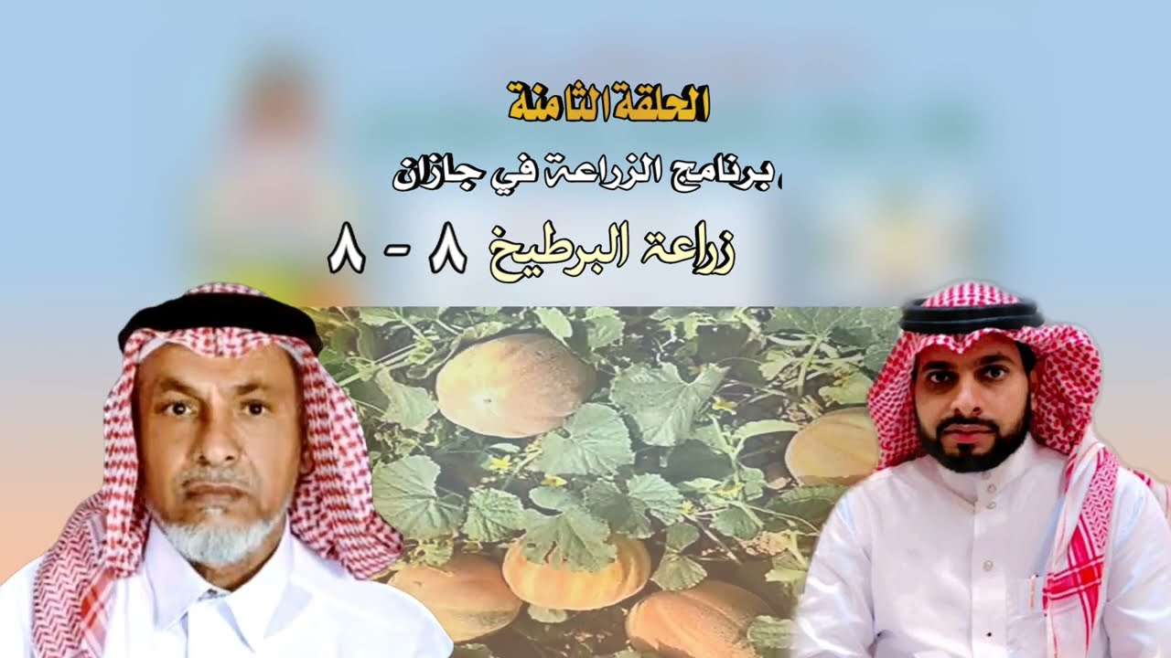 8 - 8 الزراعة في جازان- زراعة البرطيخ - للدكتور/عايل الأمير- تقديم/ ياسر الجعفري- تصميم /الغبيسي