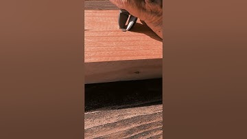How To Remove Nails From Wood With Limited Tools!