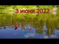 Рыбалка на поплавок 3 июня 2022