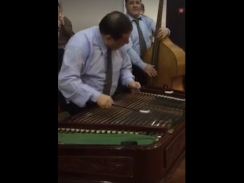 Leonard Iordache tambal show