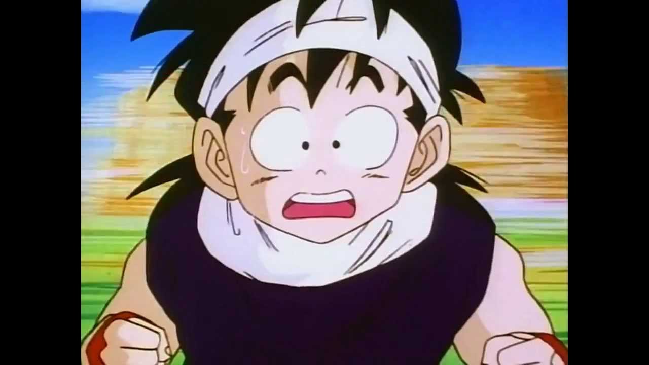 DBZ Chop - DBZ Chop