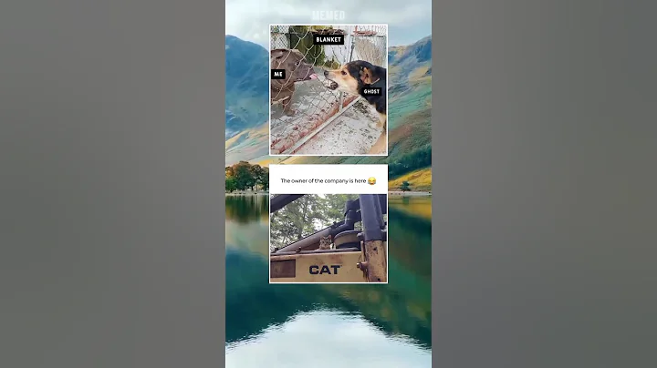 Watch the video about MEME