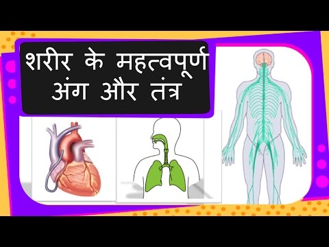 Hindi Body Parts Chart