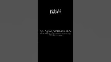 🌿|﴿رَبَّنَا وَلَا تُحَمِّلْنَا مَا لَا طَاقَةَ لَنَا بِهِ ۖ﴾القارئ الشّيخ:سالم الرويلي#quran #القرآن