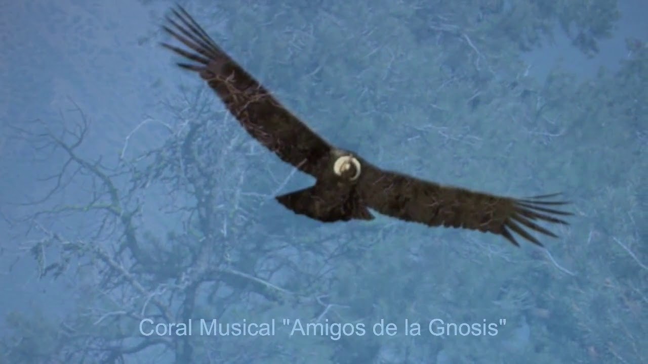 EL CONDOR PASA YouTube