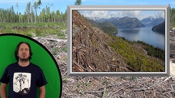 Tree Planter Training 2019 - Introduction