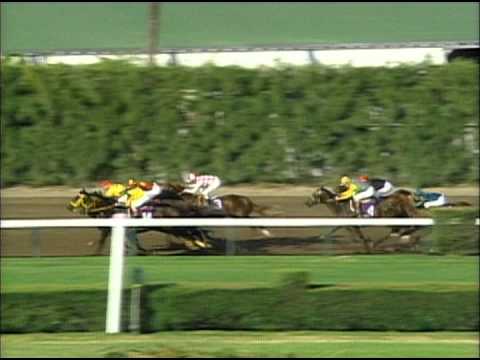 1992 Breeders' Cup Juvenile - YouTube