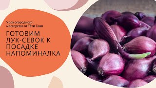 836. Готовим севок к посадке. Напоминалочка.