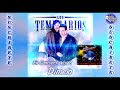 LOS TEMERARIOS - EN CONCIERTO Vol 2 - CD COMPLETO