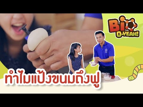 วีดีโอ: ทำไมคุณถึงต้องการแป้งในขนมอบ?