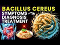 Bacillus Cereus: Understanding Food Poisoning from Reheated Rice